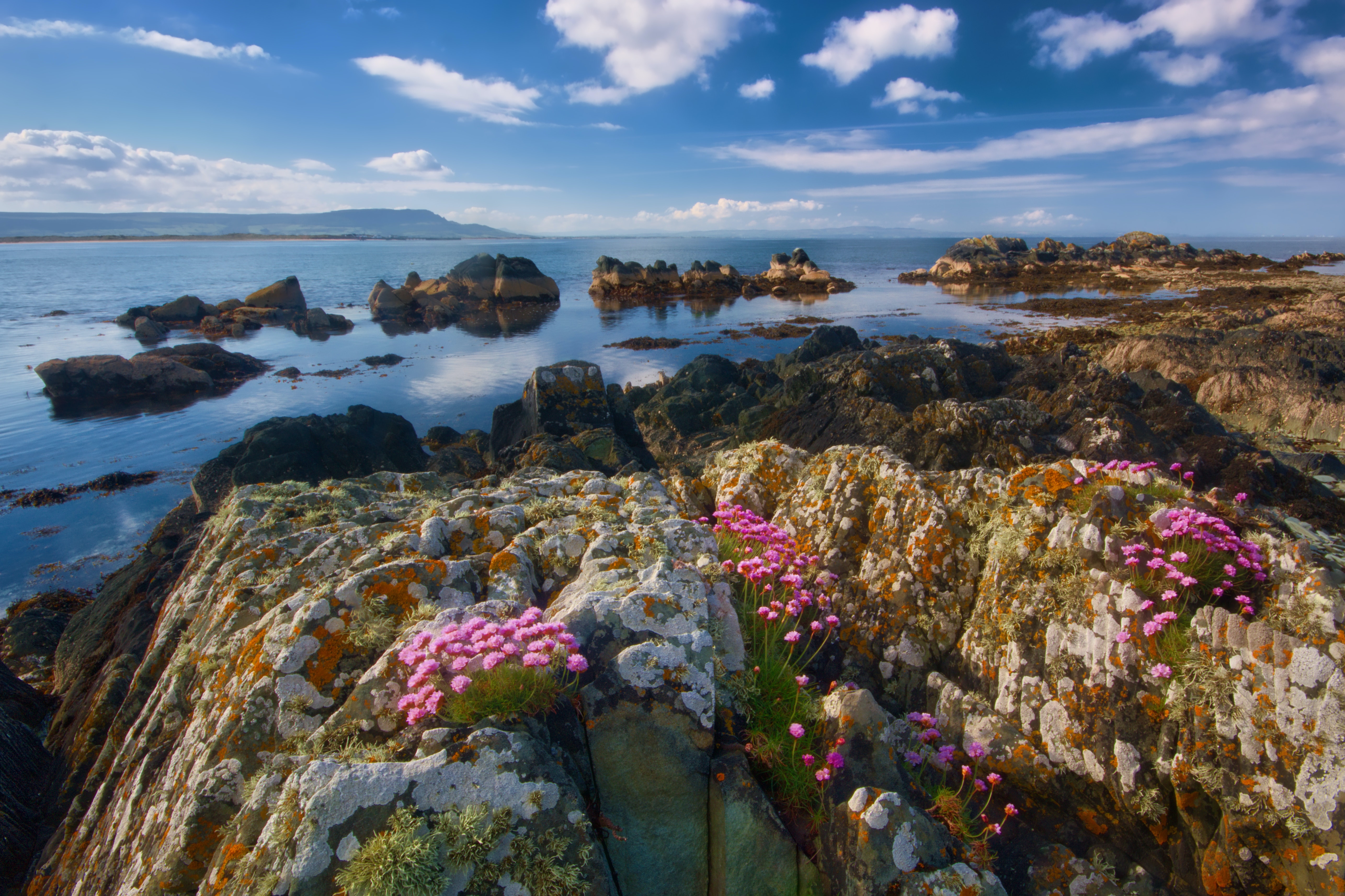 Coastal Biodiversity
